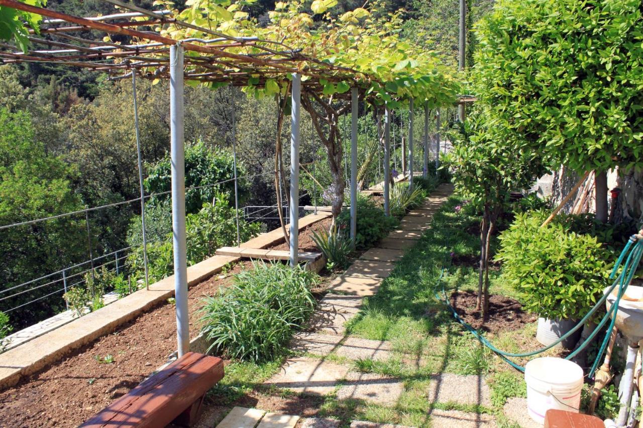 Apartments With A Parking Space Rabac, Labin - 6414 Екстер'єр фото